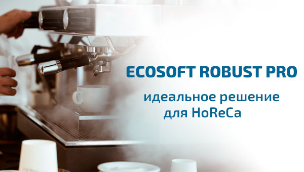 Фильтр обратного осмоса Ecosoft Robust PRO (беж)