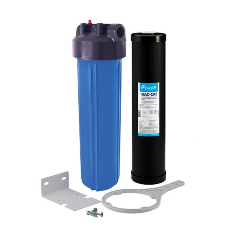 Фильтр Ecosoft Big Blue 20 с картриджем от сероводорода - Filter.ua