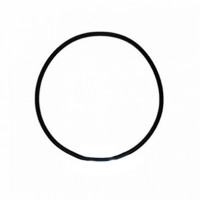 Уплотнительное кольцо к колбе Aqualine - Filter.ua