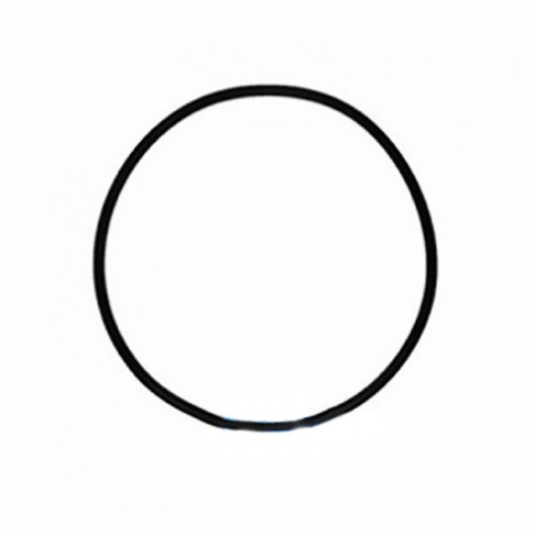 Уплотнительное кольцо (оринг) (верх) для корпусов серии BB типа - Filter.ua